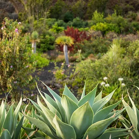De La Palma Brena Baja