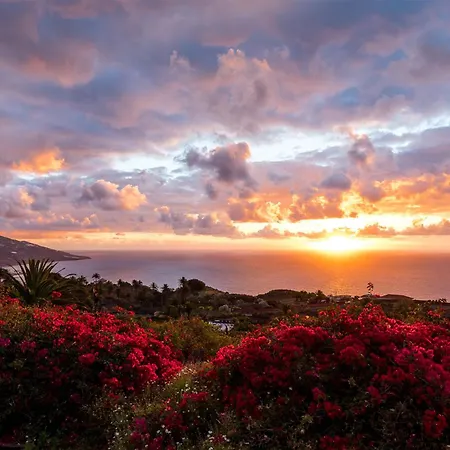 De La Palma