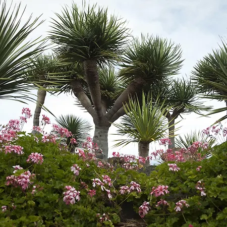 De La Palma Hotel Breña Baja