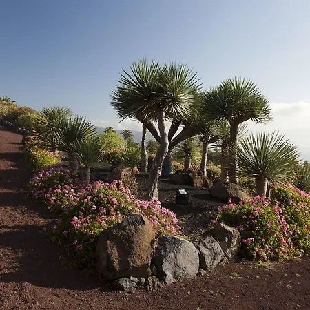 De La Palma