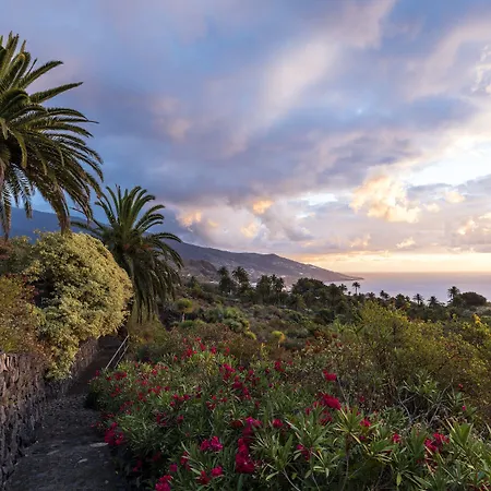 De La Palma Breña Baja