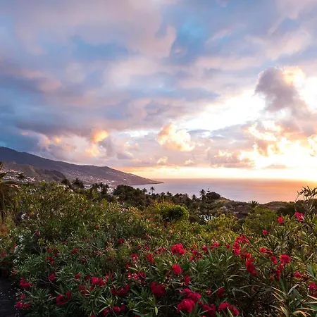 Отель De La Palma