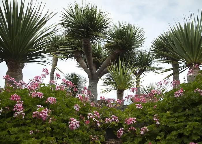 De La Palma ホテル ブレーニャ・バハ